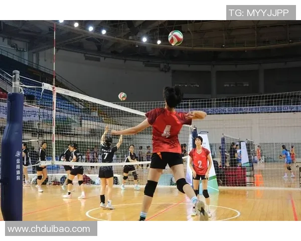 深圳排球队的节奏与魅力：聚焦排球运动的热情与挑战